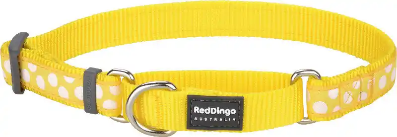 Omezená Nabídka Red Dingo obojek polostahovací – White Spots on Yellow – 25 mm x 41-62 cm