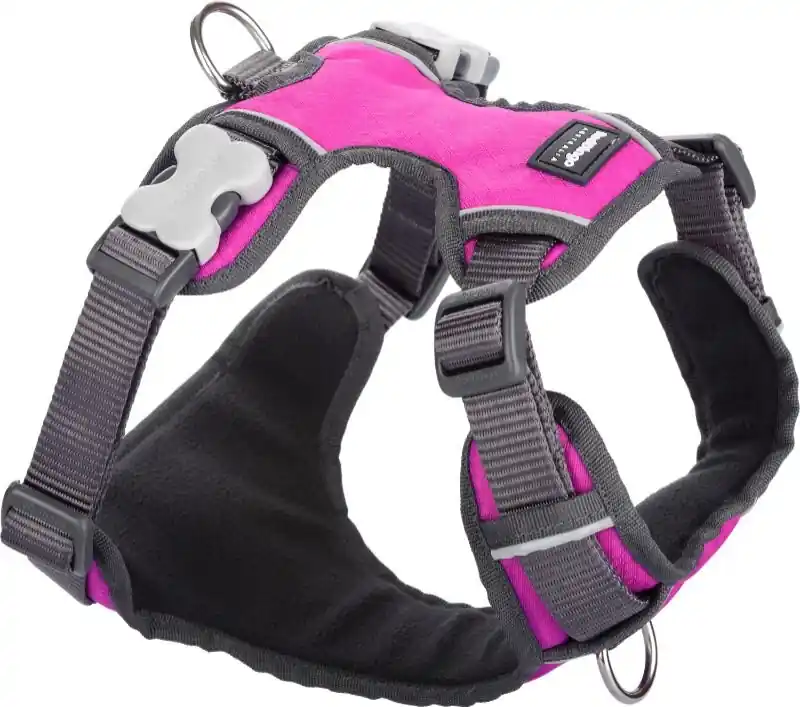 Red Dingo postroj polstrovaný – Hot Pink – 15 mm x 37-52 cm Levný