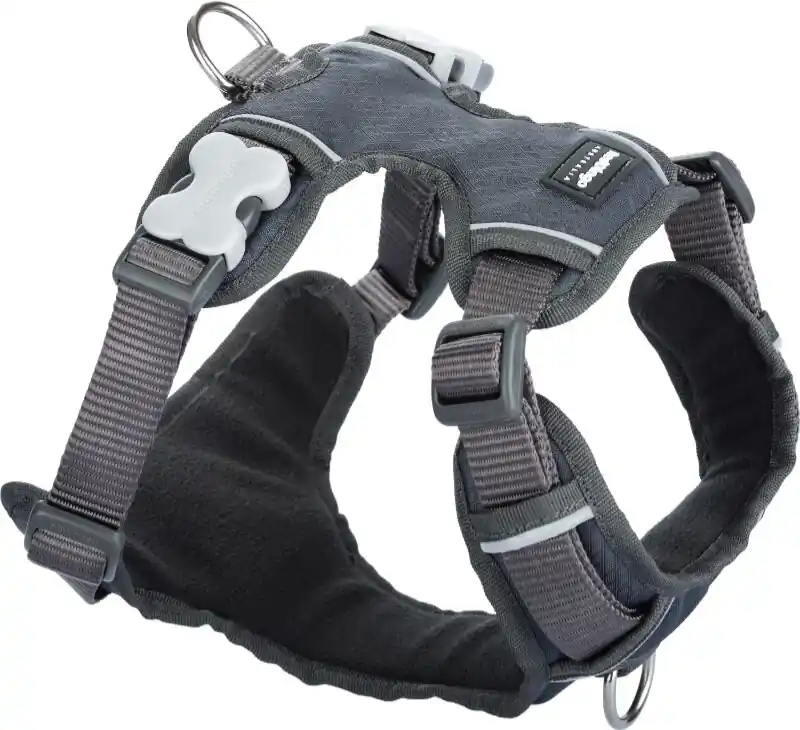 Nejlepší Volba Red Dingo postroj polstrovaný – Grey – 15 mm x 37-52 cm