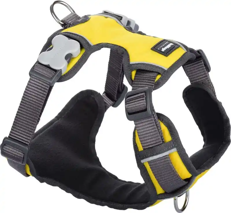 Red Dingo postroj polstrovaný – Yellow – 15 mm x 37-52 cm Poslední Šance