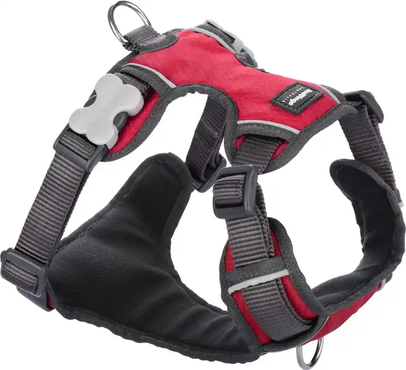 Poslední Šance Red Dingo postroj polstrovaný – Red – 20 mm x 46-63 cm