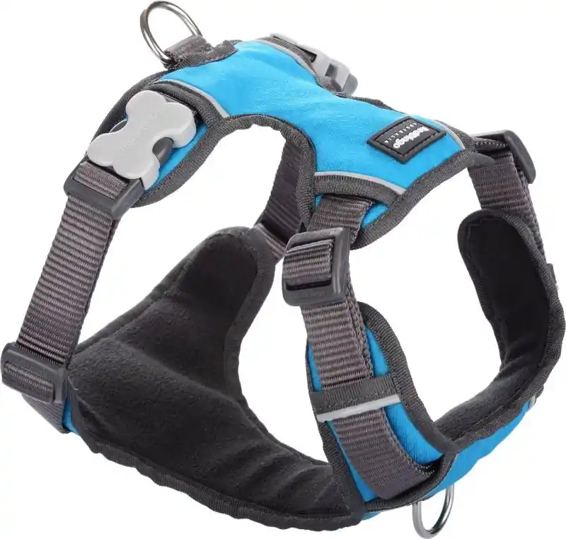 Red Dingo postroj polstrovaný – Turquoise – 20 mm x 46-63 cm Pouze Dnes