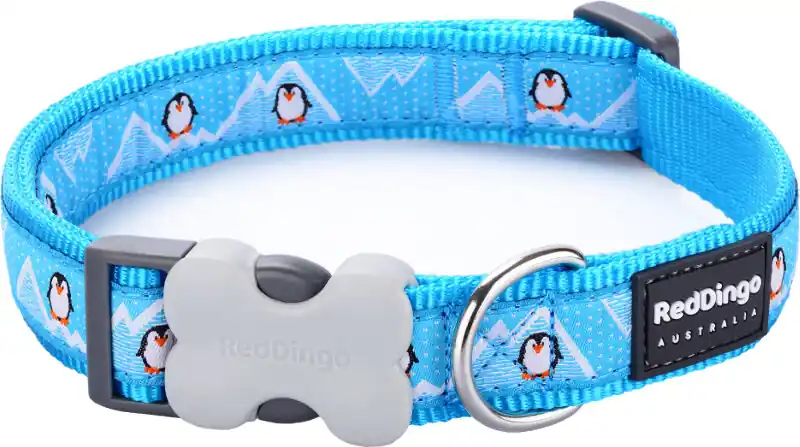 Red Dingo obojek – Penguin Turquoise – 20 mm x 30-47 cm Nová Kolekce