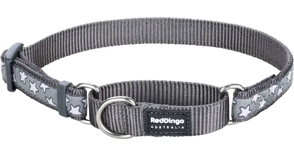 Speciální Cena Red Dingo obojek polostahovací – Stars White on Grey – 20 mm x 30-44 cm