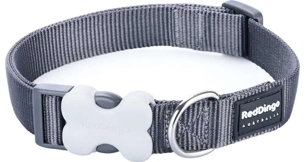 Red Dingo obojek – Grey – 15 mm x 24-36 cm Časově Omezené