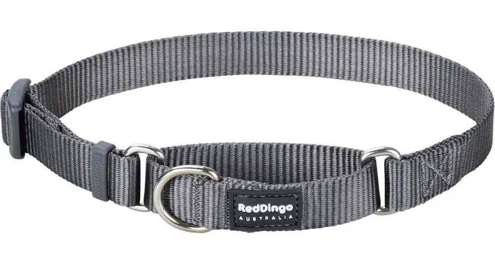 Sezónní Sleva Red Dingo obojek polostahovací – Grey – 15 mm x 26-40 cm