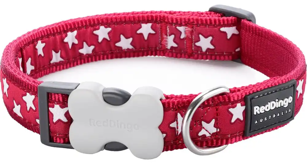 Akční Nabídka Red Dingo obojek – Stars White on Red – 15 mm x 24-36 cm