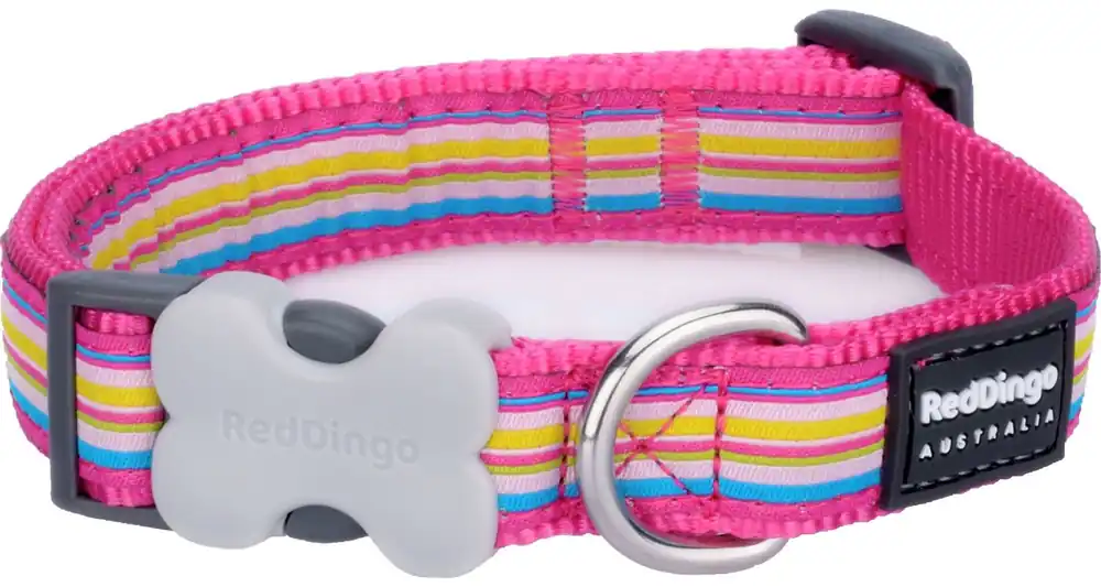 Red Dingo obojek – Horizontal Stripes Hot Pink – 15 mm x 24-36 cm Výprodej