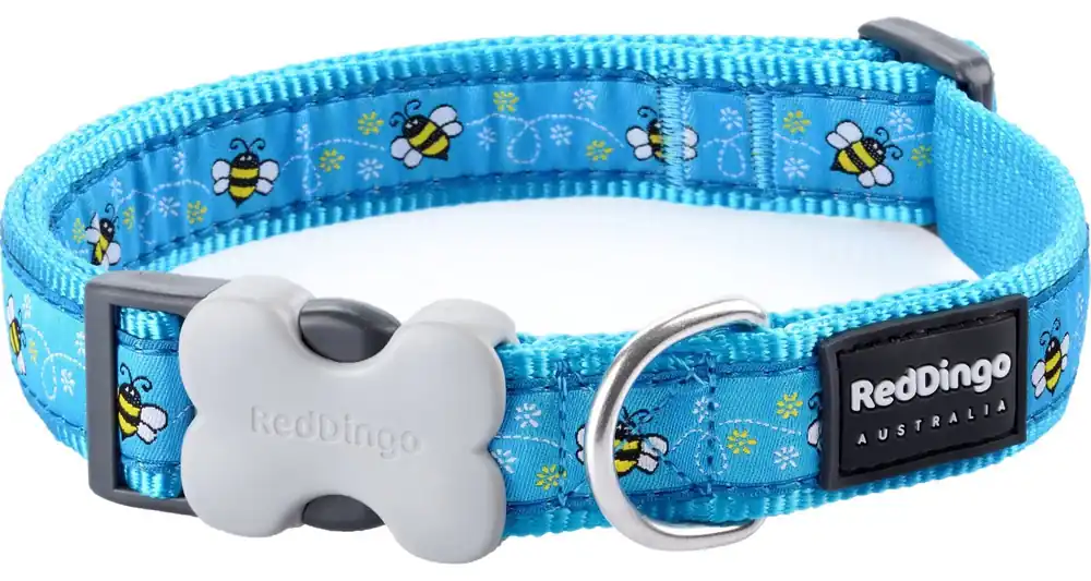 Red Dingo obojek – Bumble Bee Turquoise – 12 mm x 20-32 cm Značkový