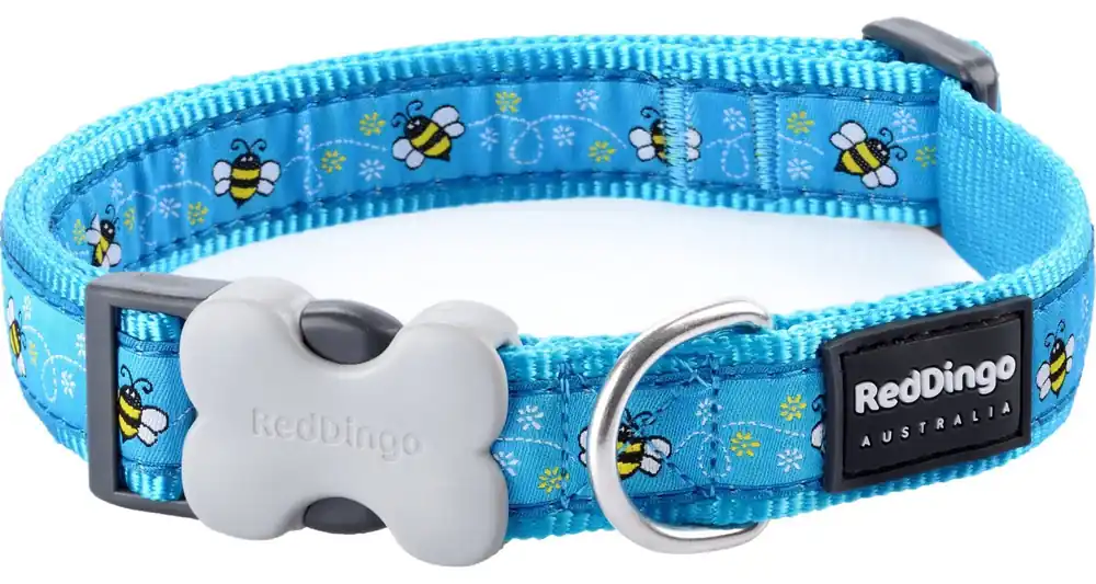 Omezená Nabídka Red Dingo obojek – Bumble Bee Turquoise – 15 mm x 24-36 cm
