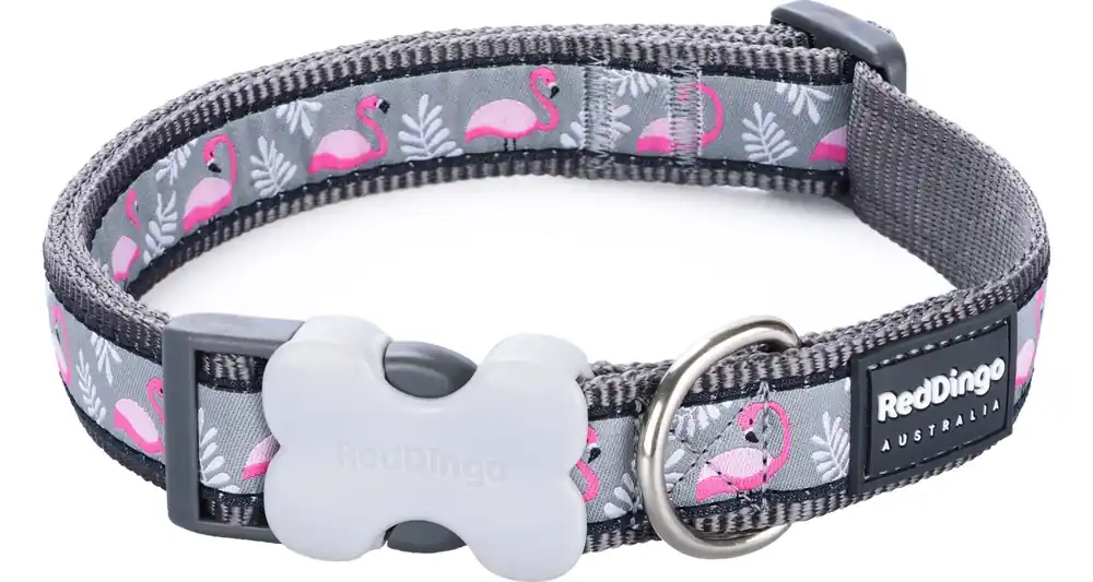 Poslední Šance Red Dingo obojek – Flamingo Cool Grey – 20 mm x 30-47 cm