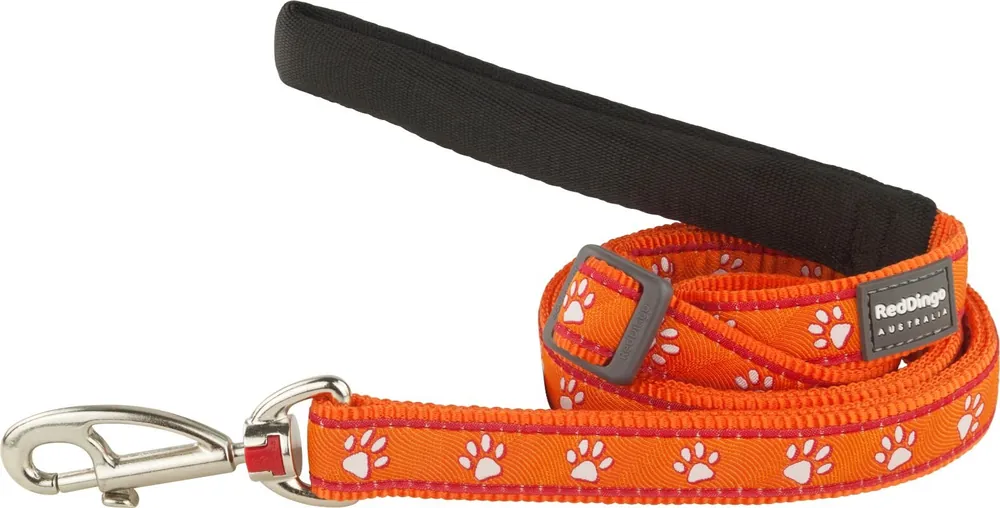 Top Prodej Red Dingo vodítko – Desert Paws Orange – 20 mm x 1,8 m