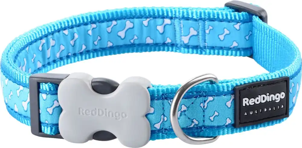 Sezónní Sleva Red Dingo obojek – Flying Bones Turquoise – 20 mm x 30-47 cm