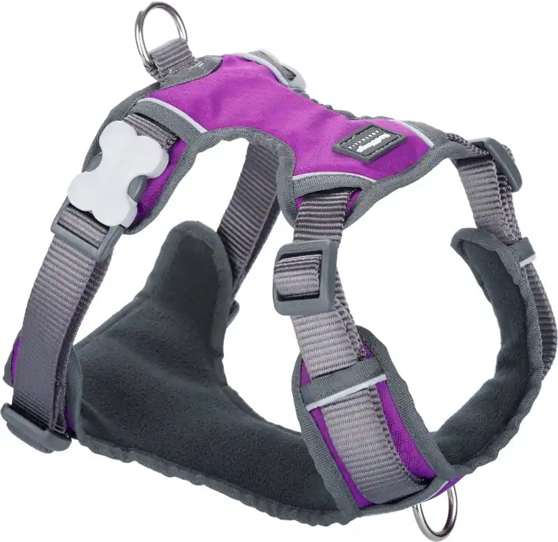 Red Dingo postroj polstrovaný – Purple – 20 mm x 46-63 cm Dokud Zásoby Vydrží