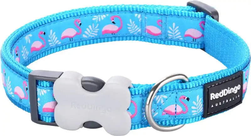 Red Dingo obojek – Flamingo Turquoise – 12 mm x 20-32 cm Pouze Dnes