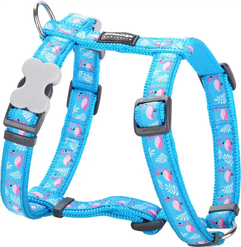 Red Dingo postroj – Flamingo Turquoise – 15 mm x 36-54 cm Ověřený