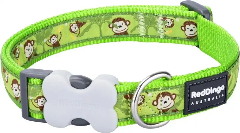 Red Dingo obojek – Monkey Lime Green – 12 mm x 20-32 cm Sleva