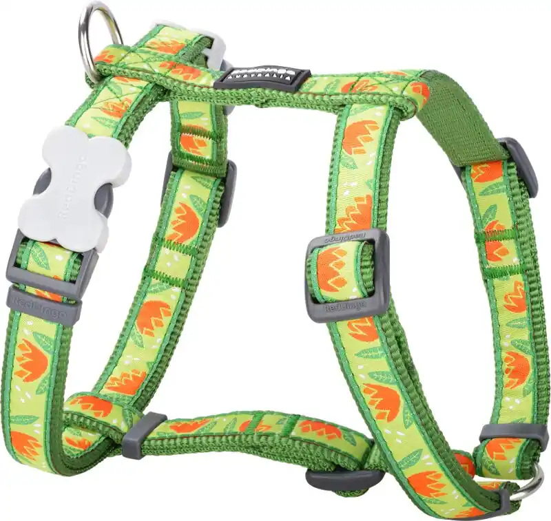 Red Dingo postroj – Tropical Green – 25 mm x 56-80 cm Hit Sezóny