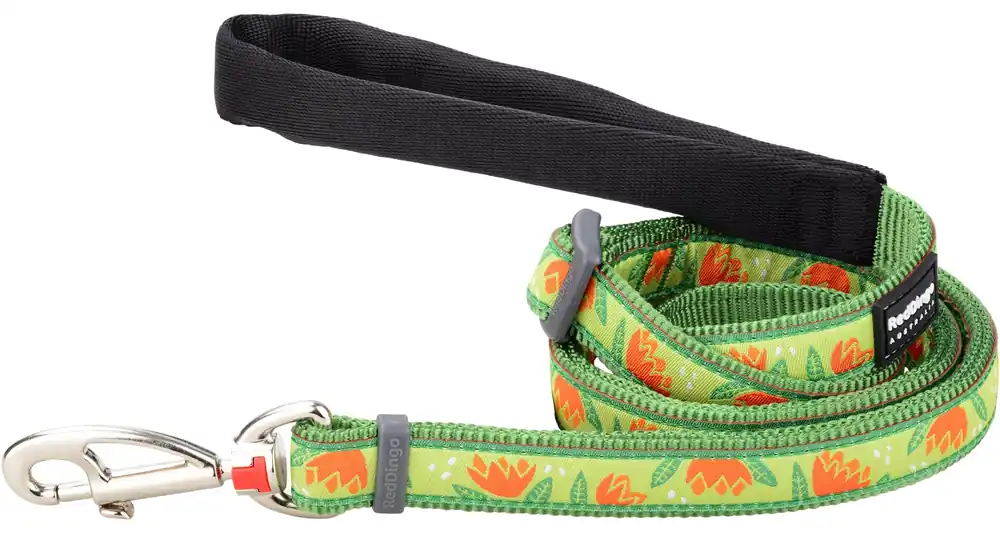 Red Dingo vodítko – Tropical Green – 12 mm x 1,8 m Akční Cena