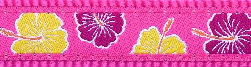 Cenový Hit Red Dingo vodítko přepínací – Hibiscus Hot Pink – 12 mm x 2 m