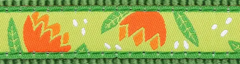 Kup Teď Red Dingo vodítko přepínací – Tropical Green – 25 mm x 2 m