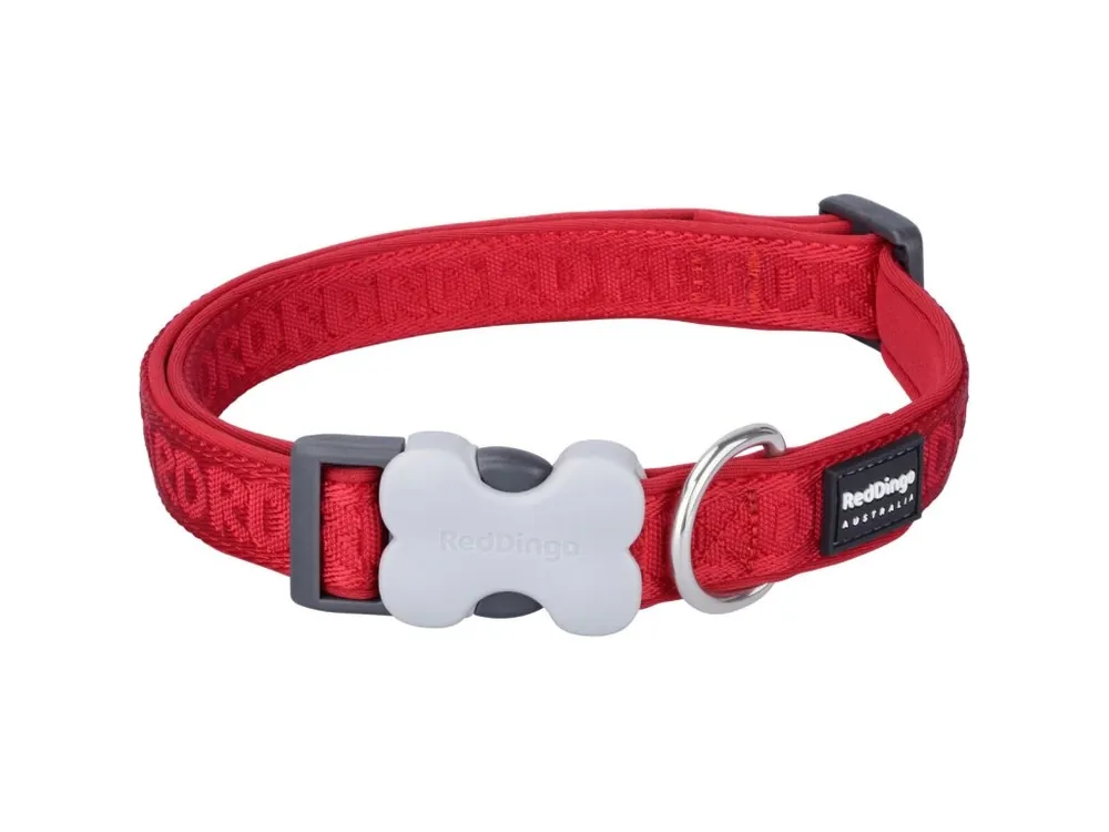 Red Dingo obojek polstrovaný XS – Red – 15 mm x 22-32 cm Pouze Dnes