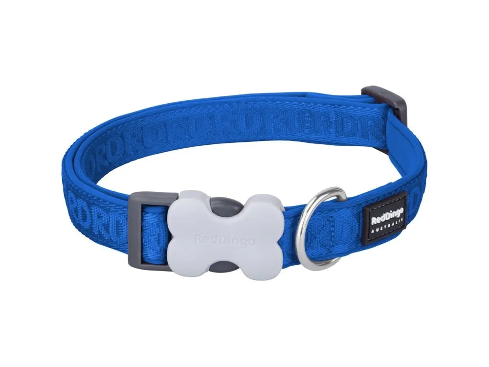 Omezená Nabídka Red Dingo obojek polstrovaný L – Electric Blue – 20 mm x 41-68 cm