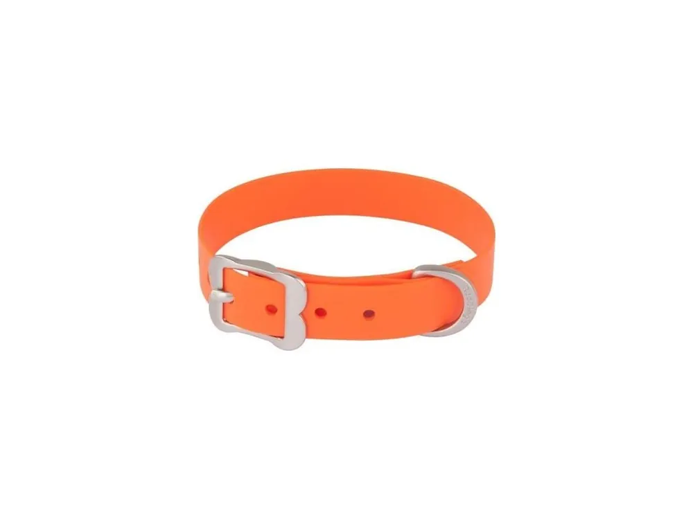 Top Prodej Obojek Red Dingo Vivid 25 mm x 48-58 cm - Oranžová