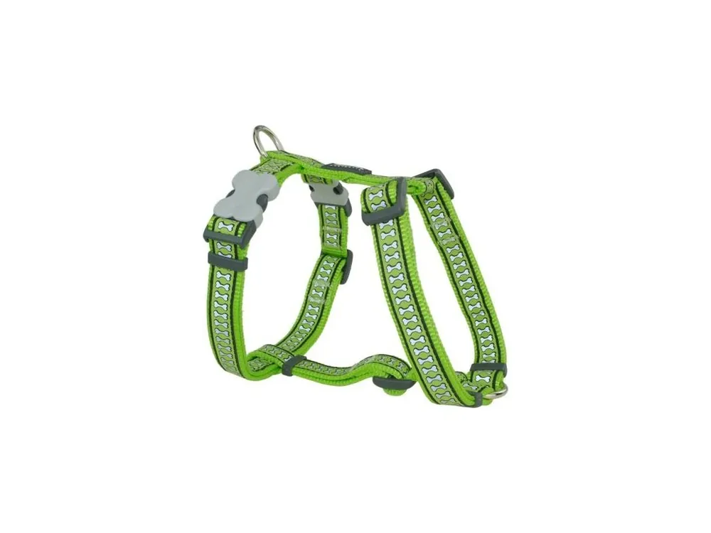 Sleva Postroj Red Dingo 12 mm x 30-44 cm - Bones Reflexní- Limetková