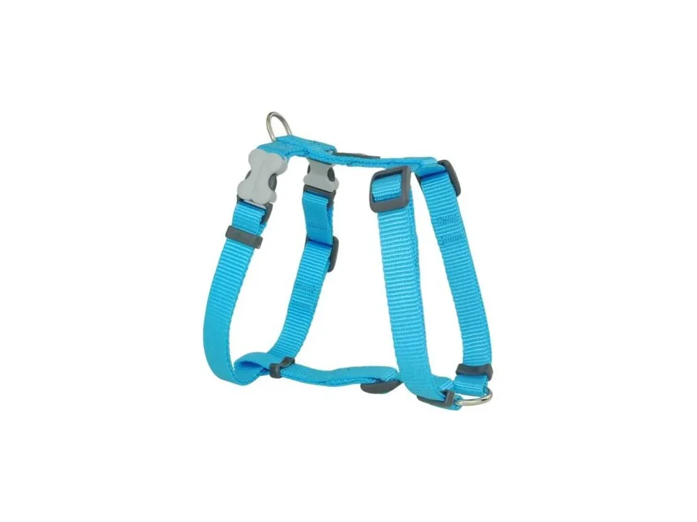 Postroj Red Dingo 12 mm x 30-44 cm - Jednobarevné- Tyrkysová Odeslání Ihned