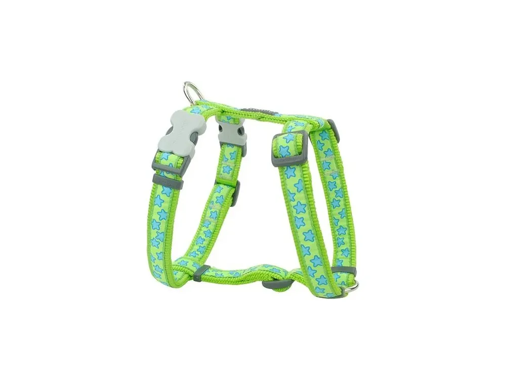 Nová Kolekce Postroj Red Dingo 15 mm x 36-54 cm - Stars Turquoise