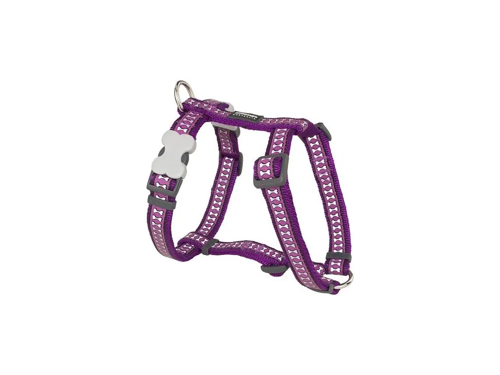 Ihned K Objednání Postroj Red Dingo 15 mm x 36-54 cm - Bones Reflexní - Fialová