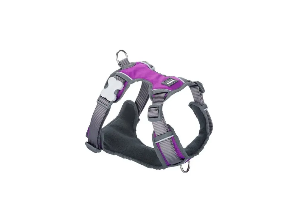 Postroj Red Dingo polstrovaný S - 37-52 cm - Fialová Omezená Nabídka