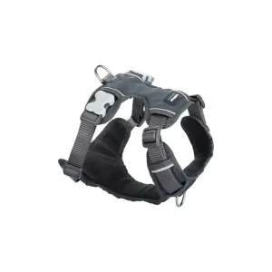Akce Postroj Red Dingo polstrovaný S - 37-52 cm - Šedá