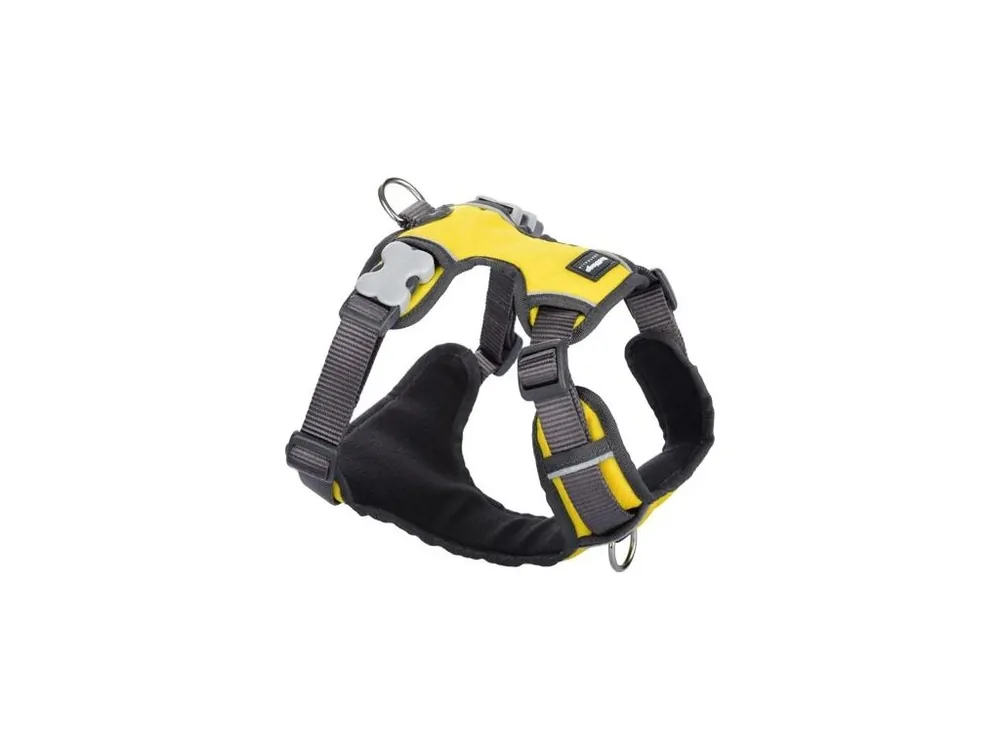 Postroj Red Dingo polstrovaný S - 37-52 cm - Žlutá Horká Nabídka