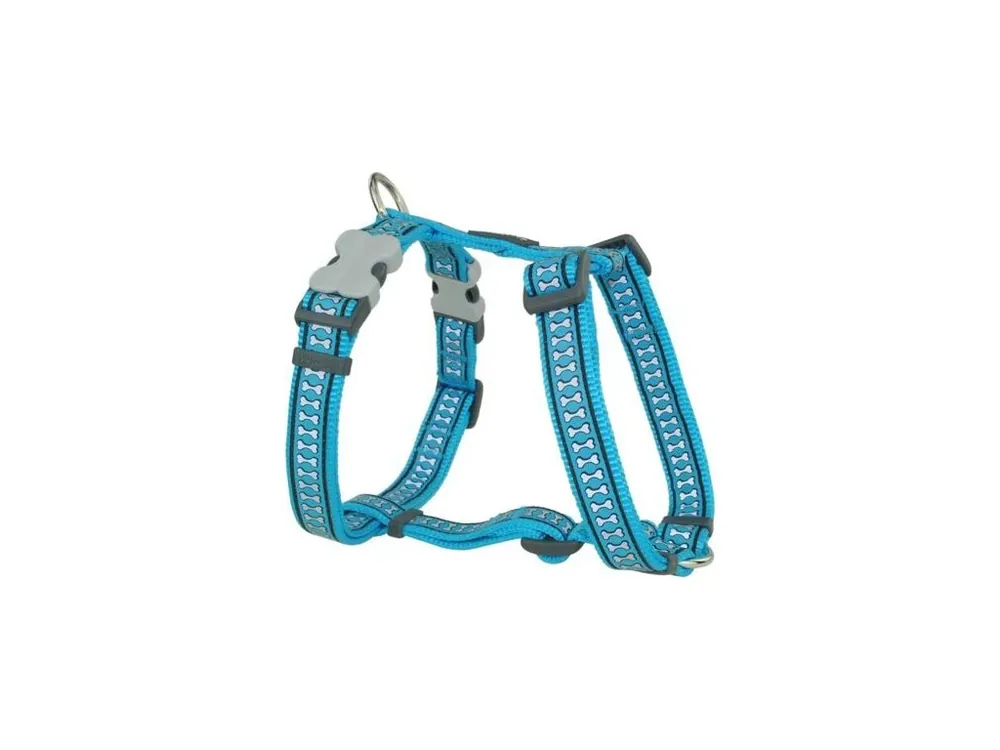 Postroj Red Dingo 20 mm x 45-66 cm - Bones Reflexní- Tyrkysová Víkendová Akce