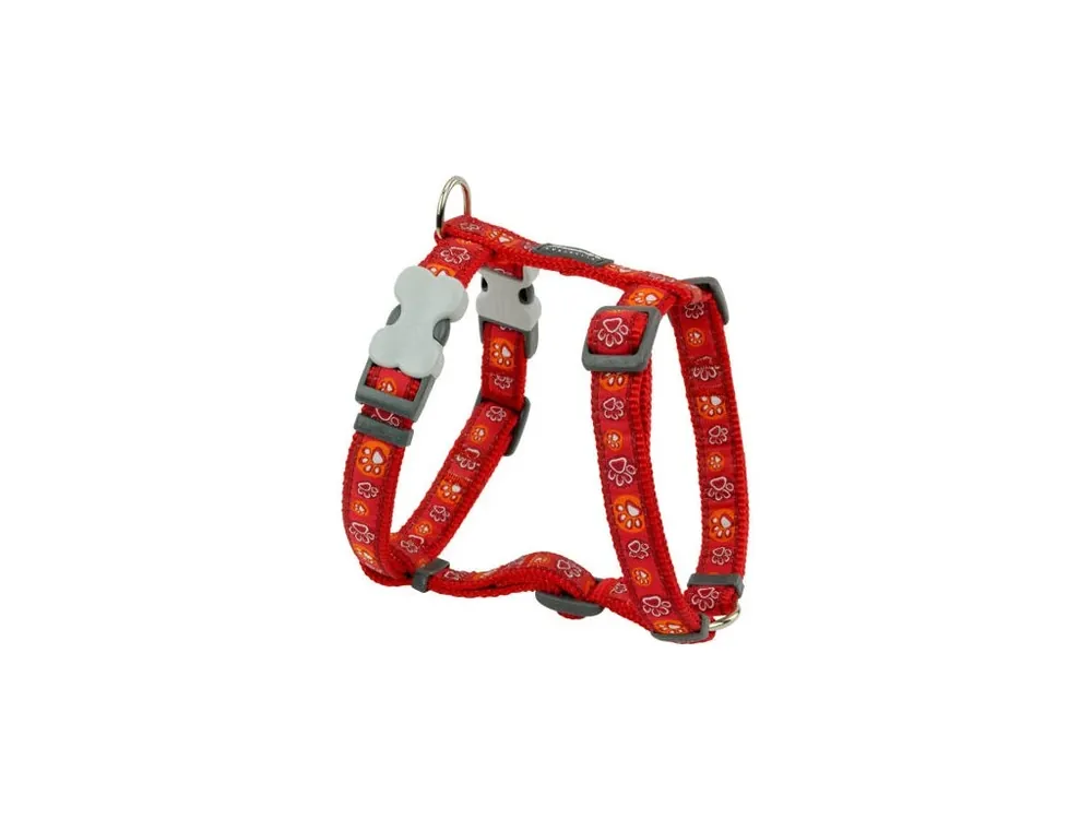 Ihned K Objednání Postroj Red Dingo 25 mm x 56-80 cm - Paw Impressions RE