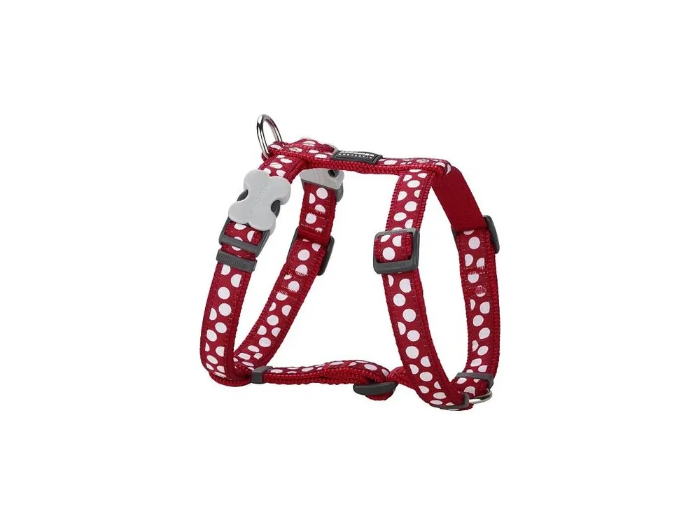 Postroj Red Dingo 25 mm x 56-80 cm - White Spots on Red Autentický
