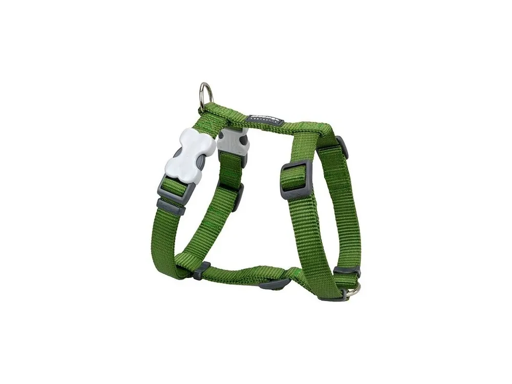 Postroj Red Dingo 20 mm x 45-66 cm - Jednobarevné - Zelená Oblíbený