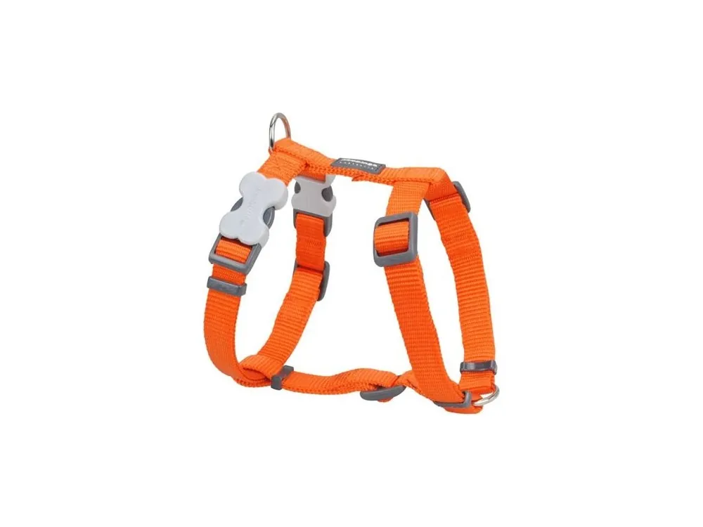 Autentický Postroj Red Dingo 20 mm x 45-66 cm - Jednobarevný - Oranžová