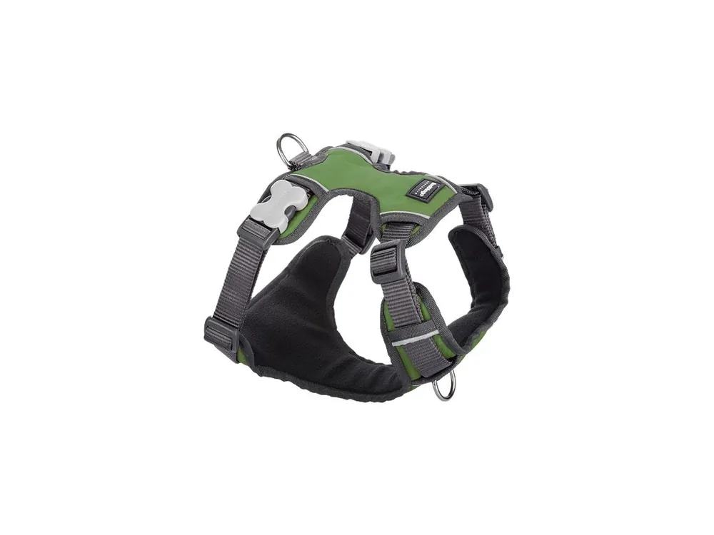 Cenový Hit Postroj Red Dingo polstrovaný XL - 72-112 cm - Zelená