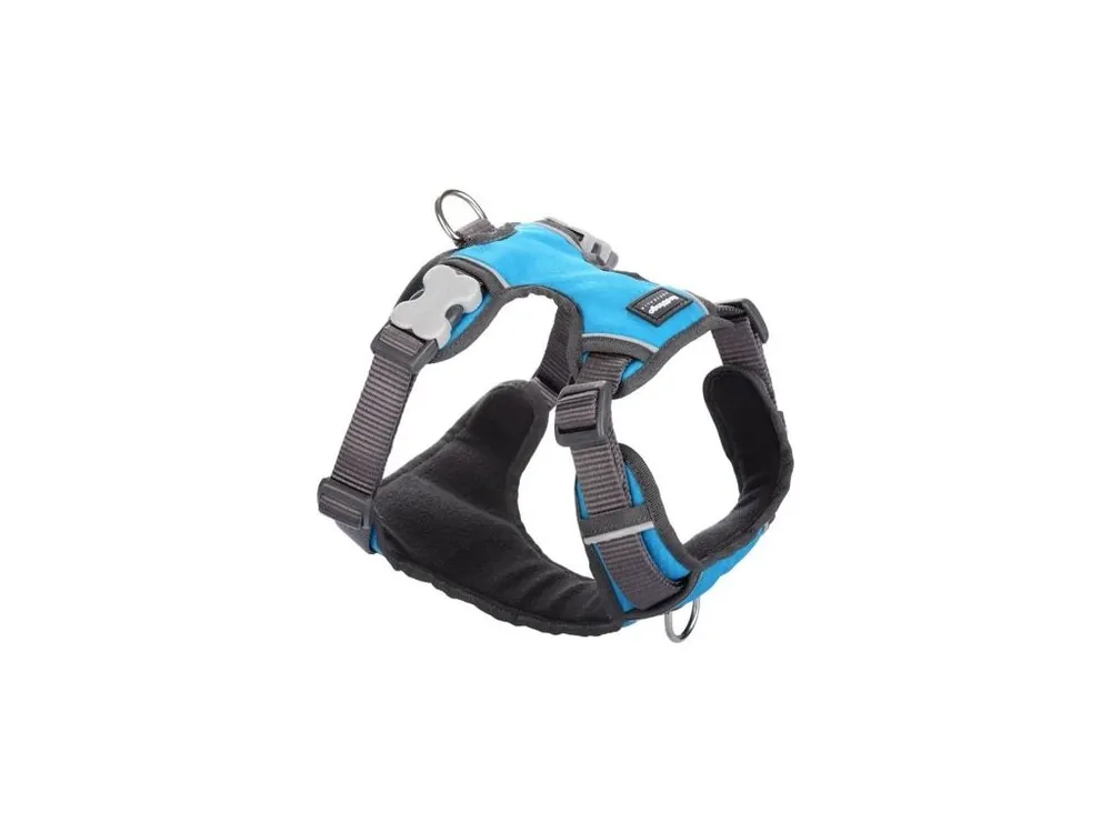Expresní Doručení Postroj Red Dingo polstrovaný XL - 72-112 cm - Tyrkysová