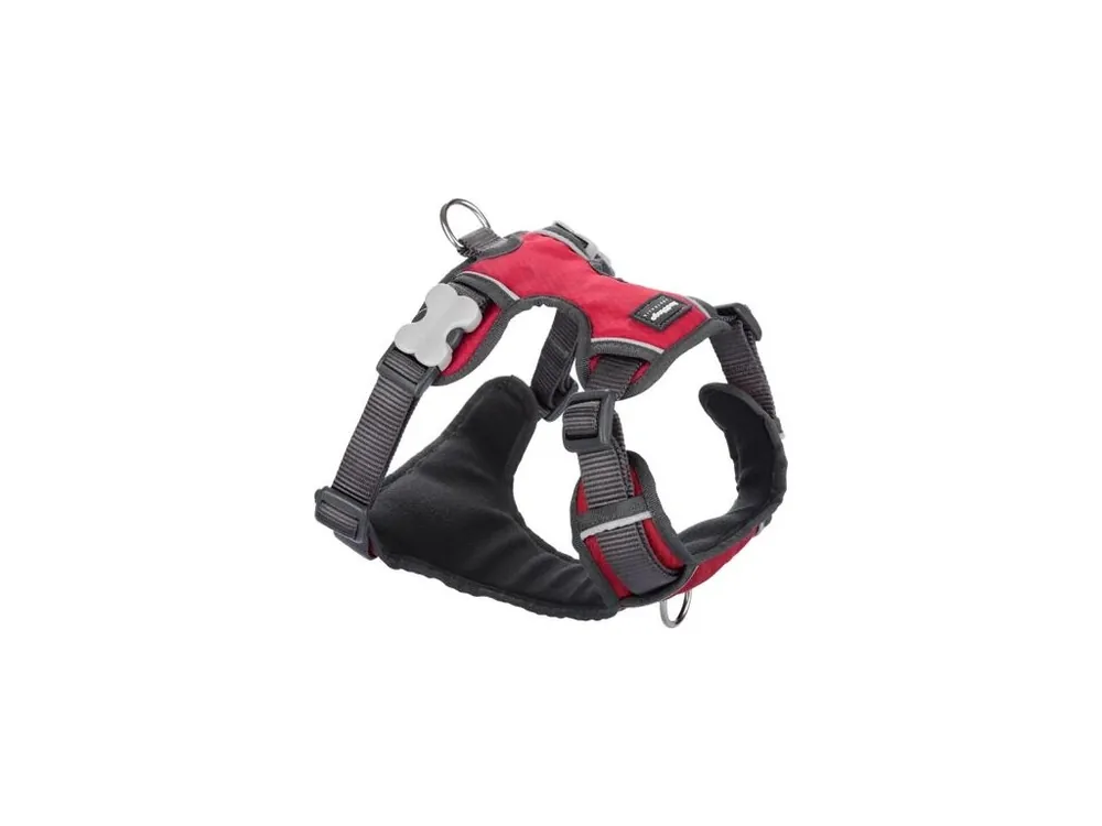 Postroj Red Dingo polstrovaný L - 56-80 cm - Červená Víkendová Akce