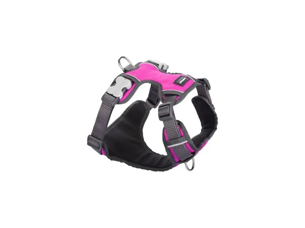 Jen Po Omezenou Doba Postroj Red Dingo polstrovaný L - 56-80 cm - Tmavě růžová