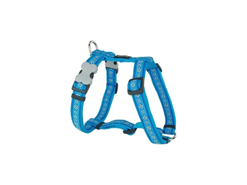 Postroj Red Dingo 25 mm x 71-113 cm - Daisy Chain Turq. Autentický