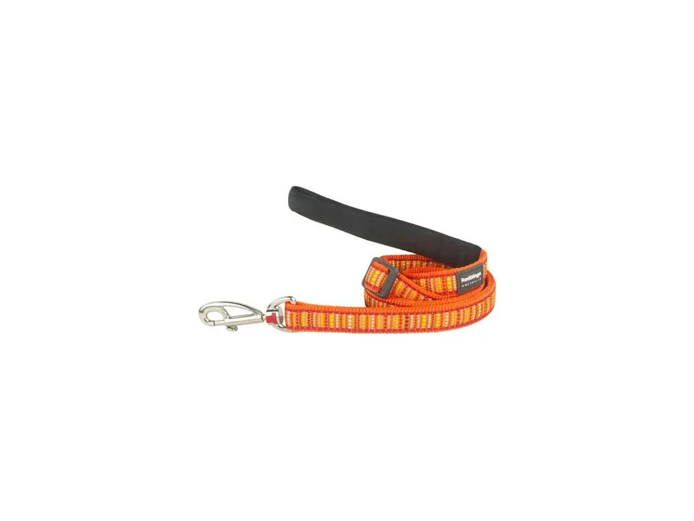 Cenově Výhodný Vodítko Red Dingo 20 mm x 1,8 m - Lotzadotz Orange