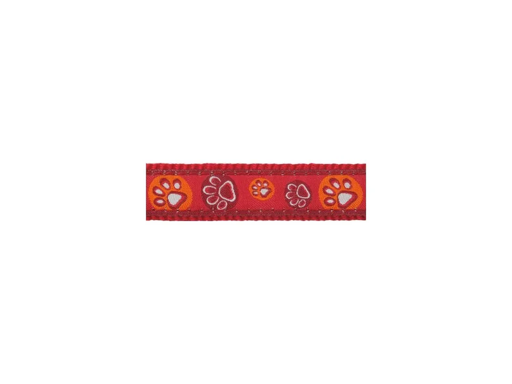 Vodítko Red Dingo přepínací 15 mm x 2 m - Paw Impressions RE Koupit Online