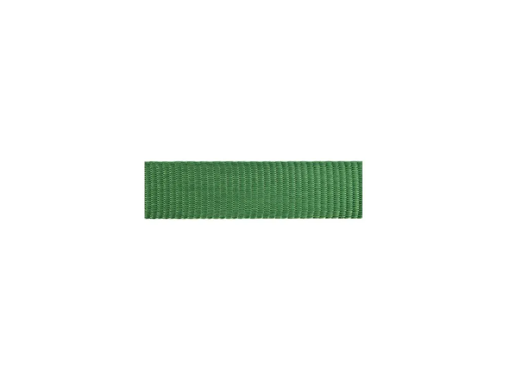 Přímo Od Výrobce Vodítko Red Dingo přepínací 15 mm x 2 m - Jednobarevné- Zelená
