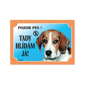 Barevná cedulka Pozor pes Beagle Finální Výprodej