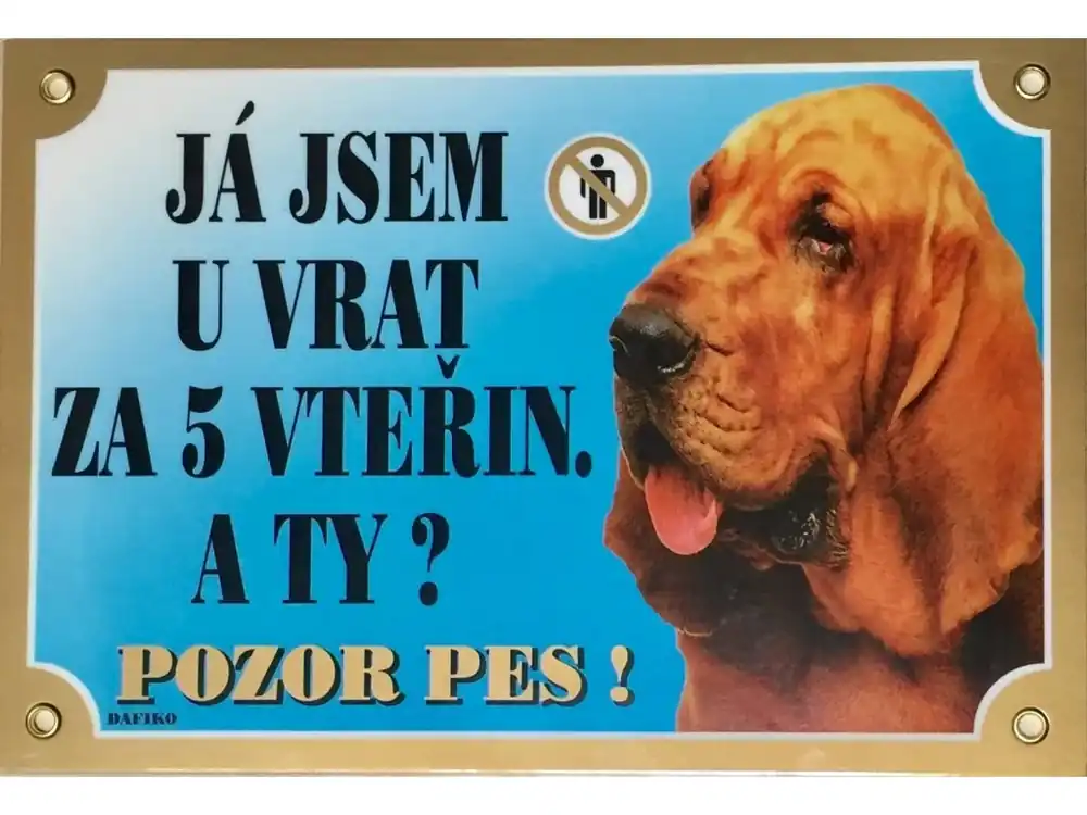Novinka Barevná cedulka Pozor pes Bladhaund